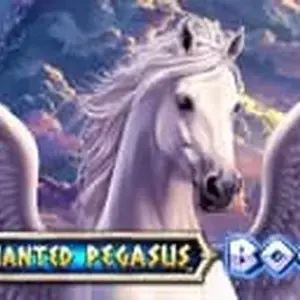 Enchanted Pegasus Boom